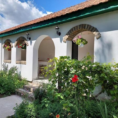 Hotel Eva House Pacir Esterno foto
