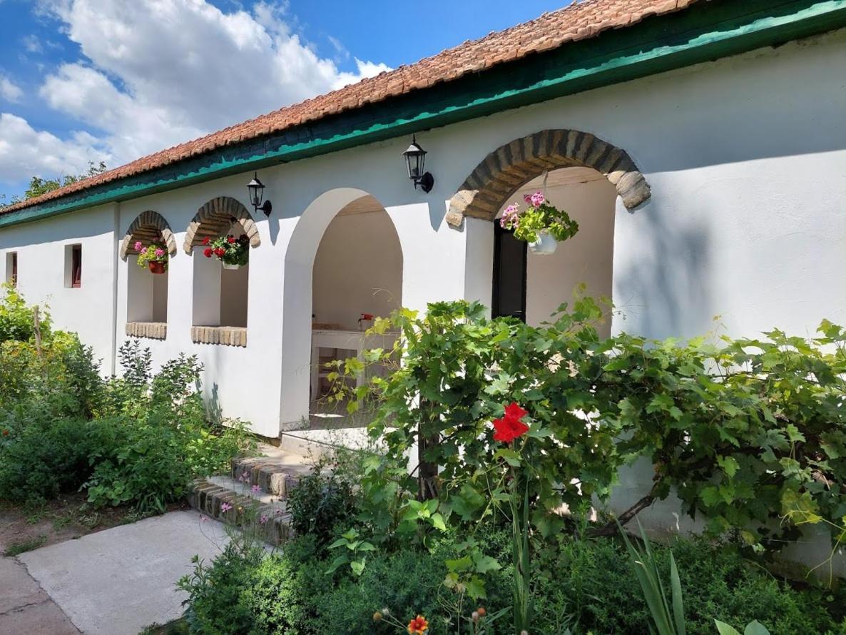 Hotel Eva House Pacir Esterno foto